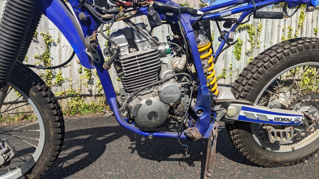 PXL_20240428_153637066 (2).jpg